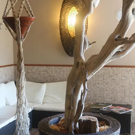 梅森克莱酒店 酒店 4*