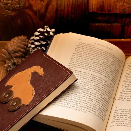 酒店 梅森克莱酒店 沙穆瓦