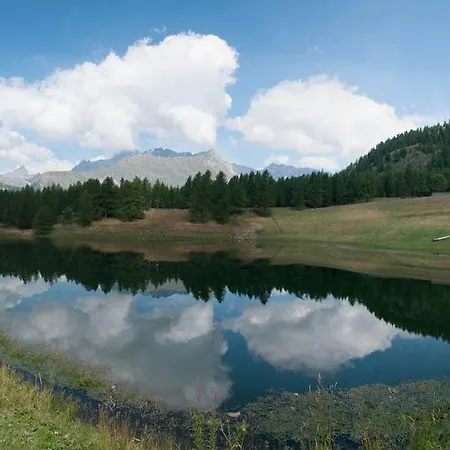 梅森克莱酒店 酒店 4*