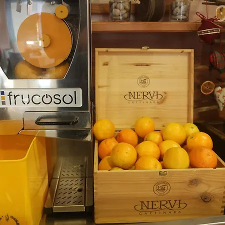 酒店 梅森克莱酒店 4*